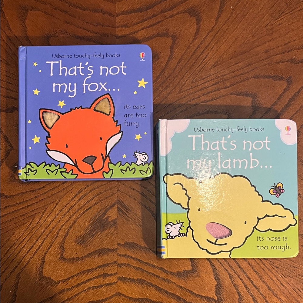 Usborne kids books | set of 2 Touchy-Feely Board Books